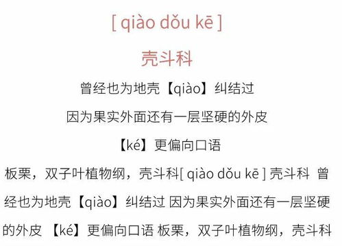 读音搭配与寓意：美的艺术