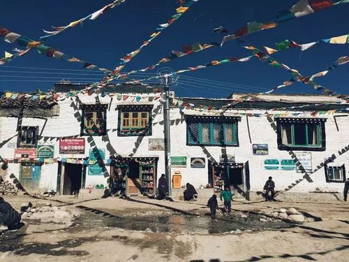 令人绝望的交通大冒险