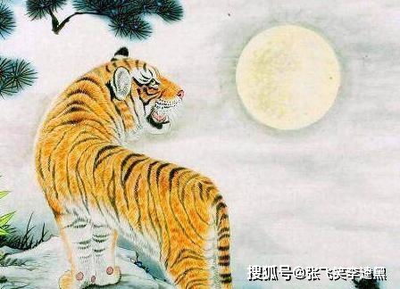 属猴属虎的属相三合排序是怎样的？属猴和属虎的属相是否相合？