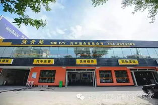 1.1 生肖星座元素的巧妙运用