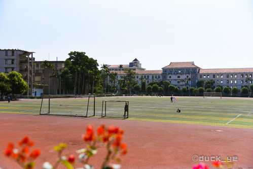 厦门大学：美到让人想复读