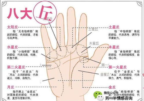 如何快速学会解读女生手相？