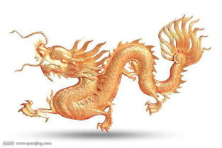 飞龙在天，生肖动物是龙？图片打一生肖是什么生肖？