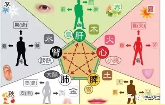 情绪与身体交织的决策过程