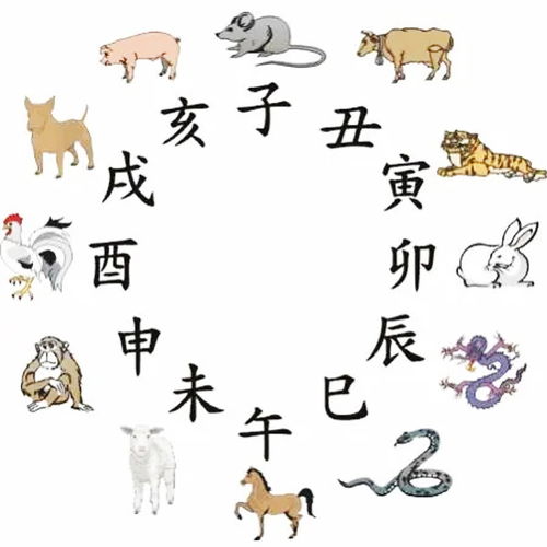 生肖星座及风水视角下的春节文化底蕴解读