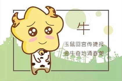 属牛人2026年运势会变好吗？运势如何变化？