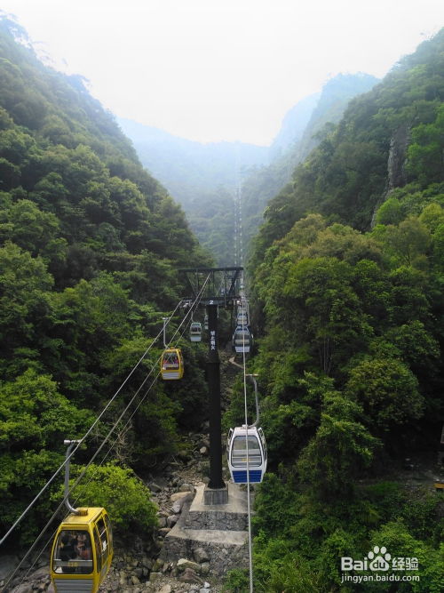 福建云顶山：不是一个景点，而是一堆“云顶山”