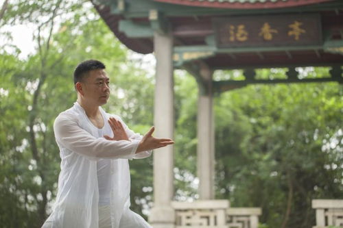 张师傅的禅修之路