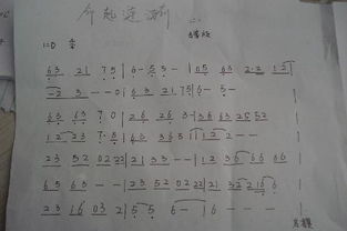 如何在网上快速找到《就什么命》这首歌的详细简谱教程？