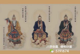 生肖相冲与性格特质：揭示潜在矛盾