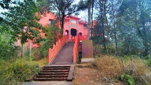 在宜宾流米寺算八字准确吗？如何正确算八字才能更精准？