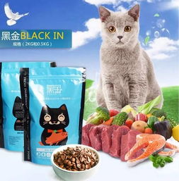 三、 犬猫同现：温暖保护与自由精神并存的复合暗示