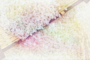 1. 烹饪稻米——承担新责任与情感升华