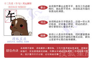 本周十二生肖下周运势周评具体指的是什么？