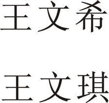 前言——给王姓小姑娘挑名字的奇葩旅程