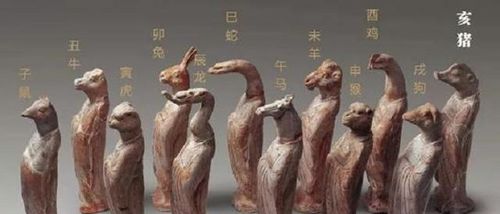 一、 属猪男性群体——温柔稳沉重型的潜在“海王”候选者