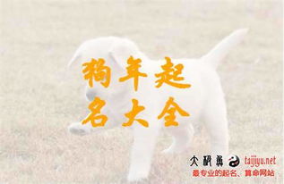 2018年狗年宝宝起名：一场充满玄学与迷信的狂欢