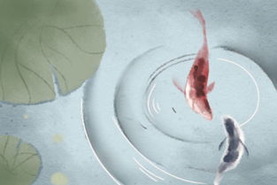 还有哪些神仙搭配？