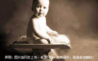 独特好听有涵养的男孩名字还有哪些秘密？