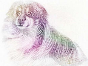 94年属狗的人2026年婚姻状况如何？2026年适合94年属狗的人结婚吗？