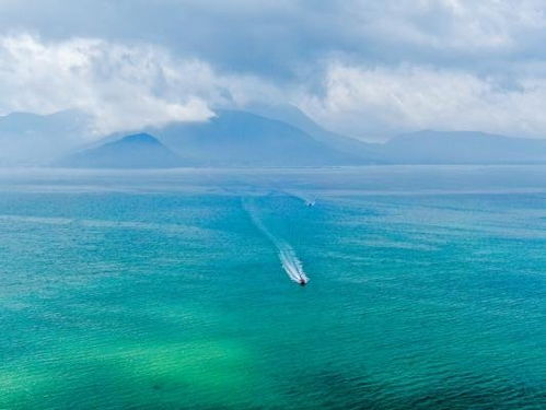 1. 大梅沙：人山人海， 沙子硌脚