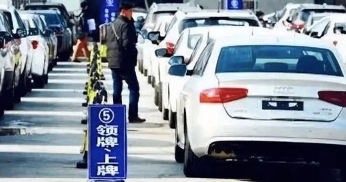 三、 2025年12月16日日辰及其星宿配合对提车行为的影响评估