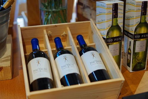 烟台篇: 葡萄酒庄里假装贵族醉生梦死一场