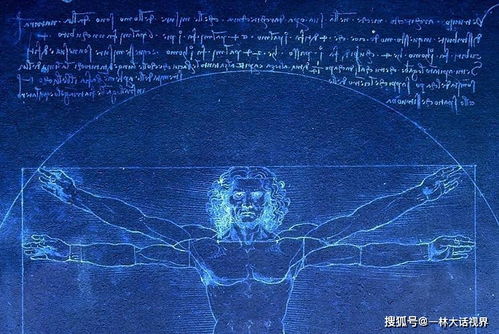 格局分析：复杂性与差异化