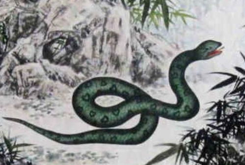 2025年属蛇的人，77年属蛇的事业贵人，2025年属蛇招财转运物件是什么？