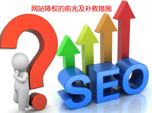 一、 薛姓本身的“噪音”属性