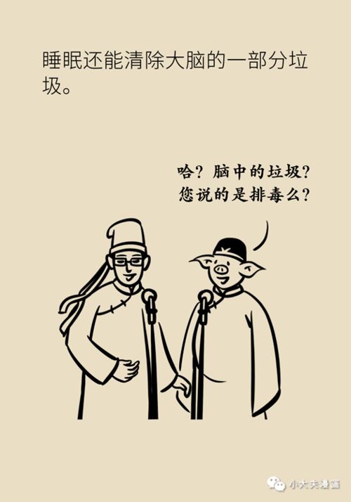 三、 社会舆论与案例分析：网络互动中的情感共振