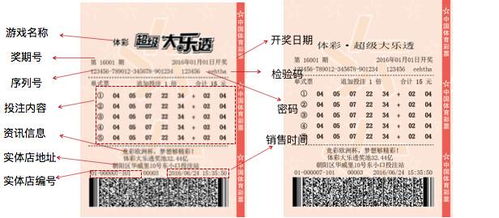先别急着买票：阿斯哈图石林到底值不值得花140元进去？