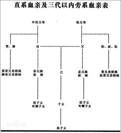 古典仪器与技术手段手段：从日晷到水漏再到铜壶滴漏