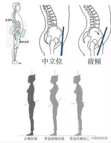 形削骨立瘦如材，牵肠挂肚思所志，这是哪个生肖的特征？