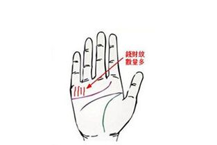 一、 传统手相学的基石：太阳丘隆起与财富宫的解读