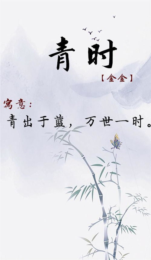 1.1 惯与五行的那些噪音数据