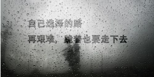 二、 潜在原因探究：个体心理状态因素与社会周边环境周边环境的作用于