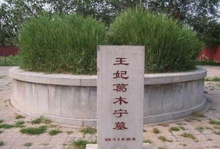 （三）小荡作穴