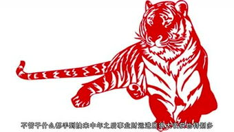 悟字代表的生肖是什么？这个生肖有什么特点？