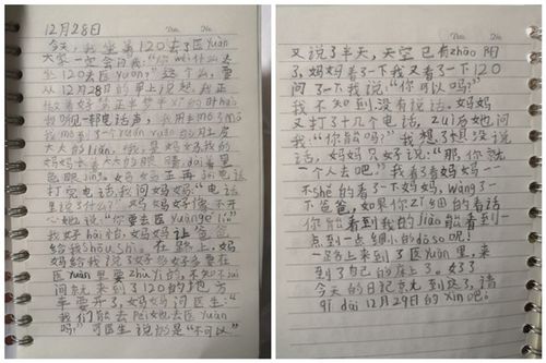 ：自然与人文中的“风雨与阳光”象征意义