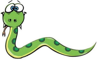 木蛇人运势提升与转运方法的深度学术分析报告