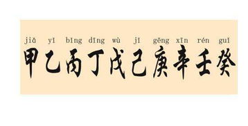 一、 探究背景与资料来源