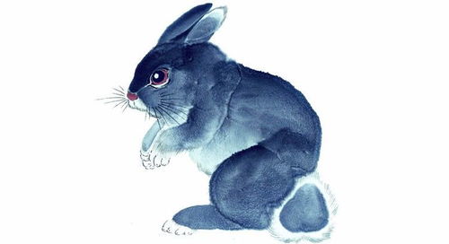 4. 属兔者——细致体贴型