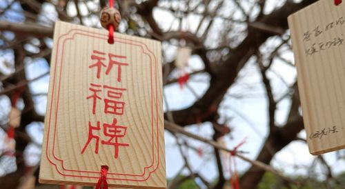 一、 时间背景与气候特征