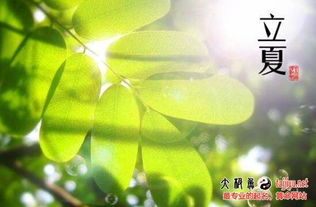 卯时出生的孩子，到底有多特殊？（以及家长们的焦虑）