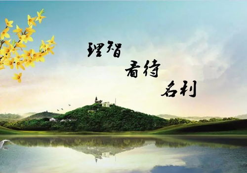 一、 专一观照下的命理特征与行为表现