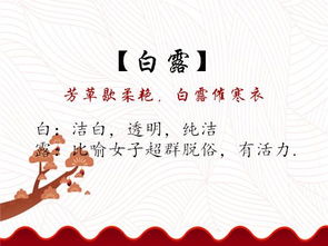 宝宝起名有什么推荐？