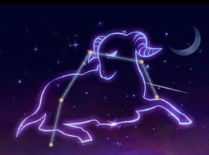 白羊座跳槽那些事儿