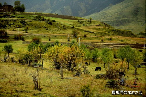 康定情歌风情园？7月排队2较小时玩5分钟， 不如去七色海人更少景美