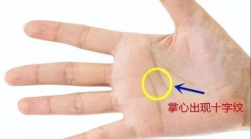 手相中孤独纹和吕字纹分别代表什么含义？